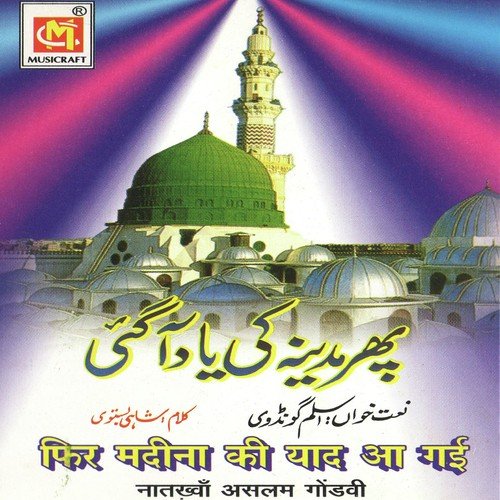 Aslam Gondvi Songs MP3 Download